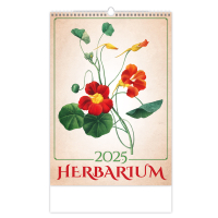 Nstenn kalendr Herbarium 25